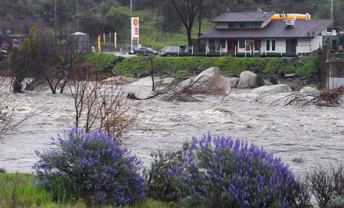 The North Fork of the Kaweah River rushes past businesses in Three Rivers Tuesday, March 14, 2023.
