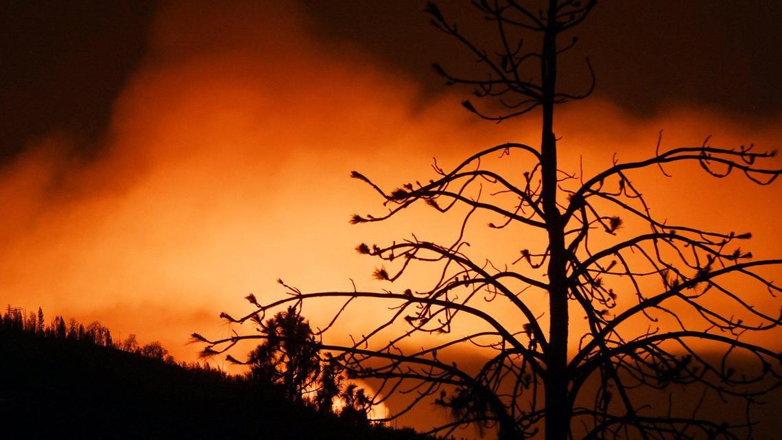 The silhouette of a tree is seen as the orange glow of the Blue Fire is visible south of Shaver Lake near midnight Tuesday night, June 29, 2021 near Tollhouse.