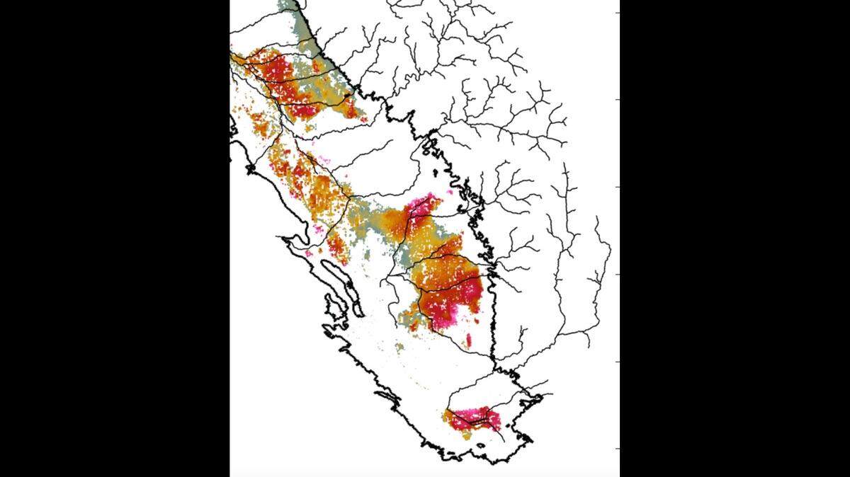 Map shows the pressure pulse from the river-sourced recharge moving from near the mountain front, into the Valley. It appears as uplift in the InSAR data. The color shows the month of the peak uplift. This was seen in the winters of 2017 and 2019; shown here are the data from 2017.