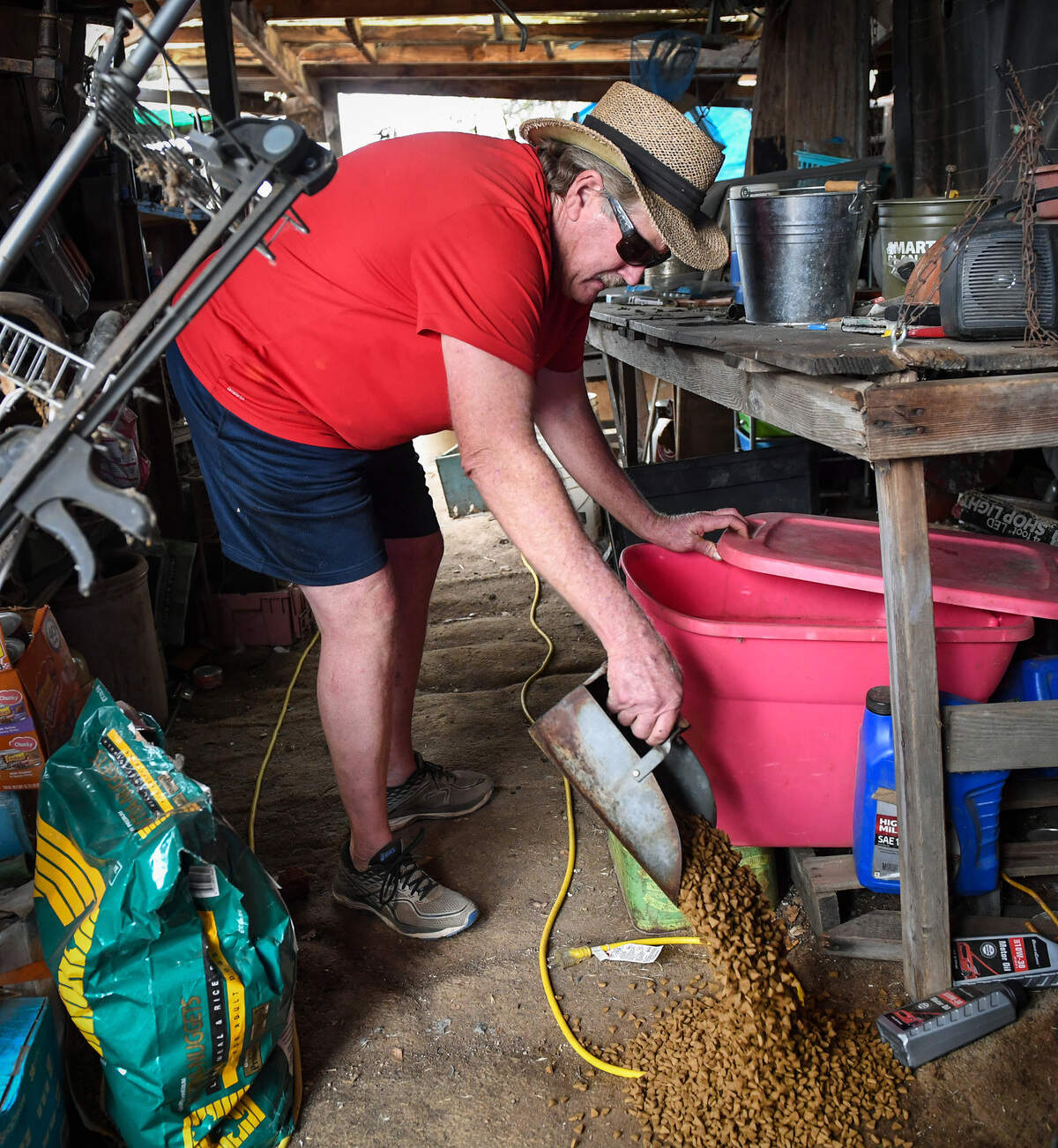 Roland Hill pours cat food on the ground to feed cats belonging to an evacuated neighbor off Burrough Valley Road near Tollhouse on Friday, Sept. 18, 2020. Most of Hill’s neighbors evacuated the Creek Fire but he stayed put, feeling he was safe from the fire and needed to keep watch over his property.