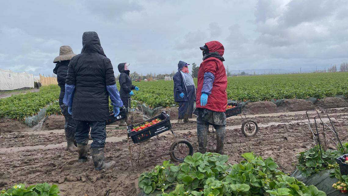 Deportation protection sought for farmworkers in next coronavirus relief bill