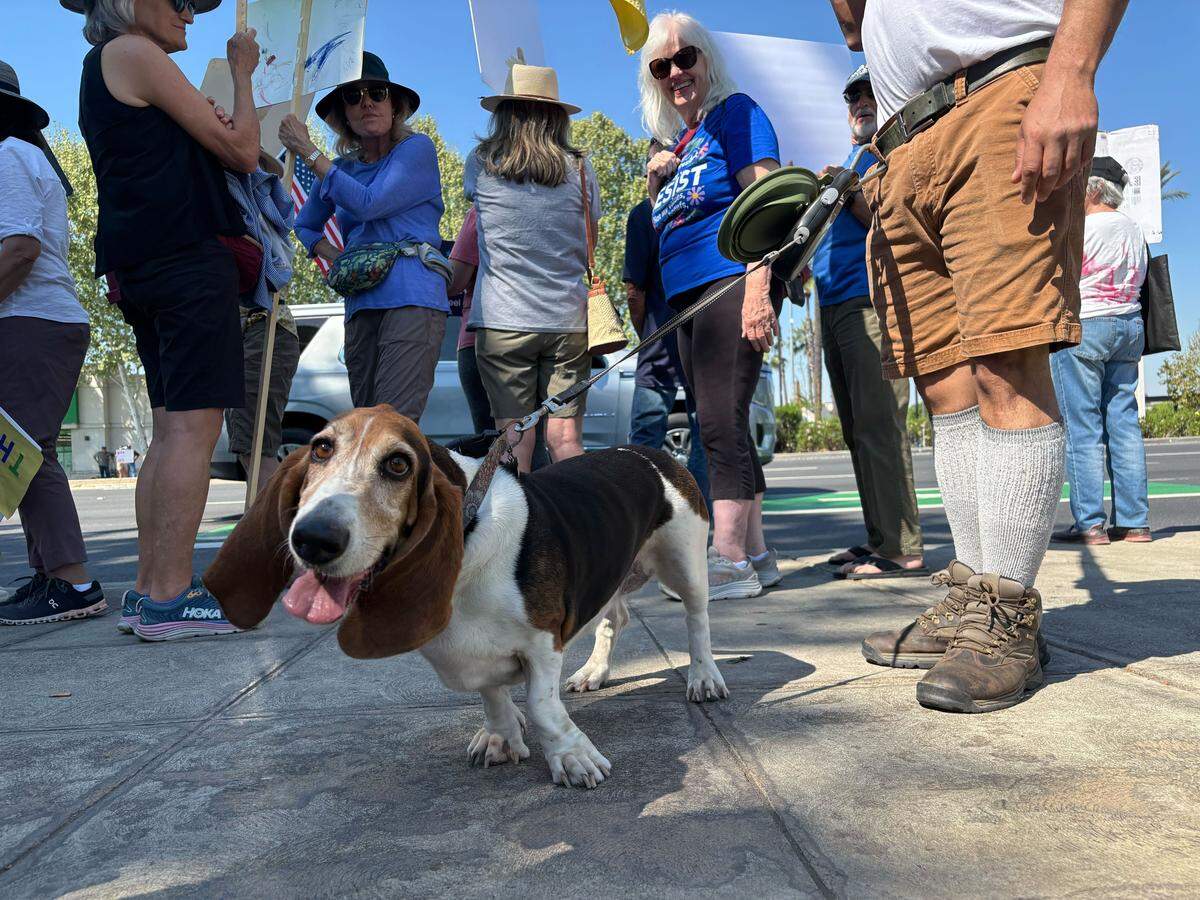 Varios manifestantes llevaron a sus perros a la protesta “No Kings” de Fresno en la intersección de Blackstone y Nees, cerca de River Park, el sábado 28 de marzo de 2026.