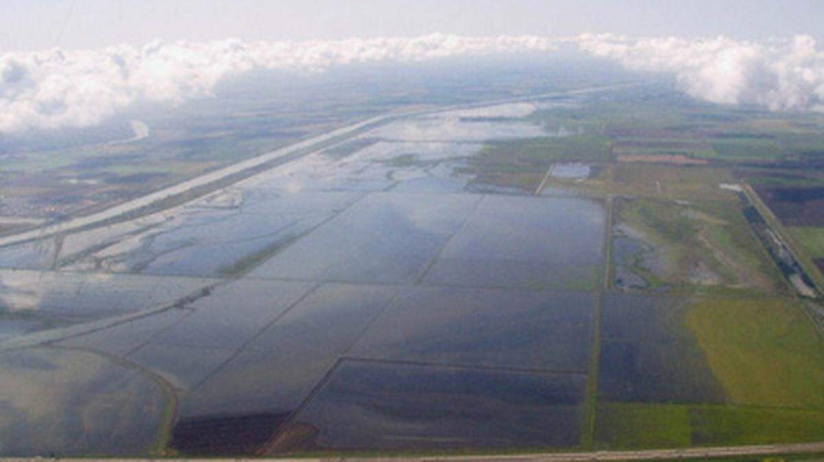 Tidelands in part of the Lower Yolo Restoration project.