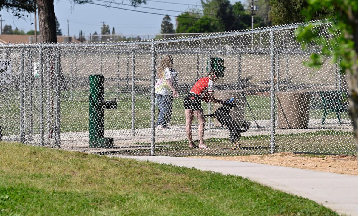 Sarah Acree plays with Meg, a rescue mutt at Letterman Park’s dog park Wednesday, April 9, 2025 in Clovis. The City of Clovis has established two dog parks for dogs to run unleased. The other dog park is located at Sierra Bicentennial Park.