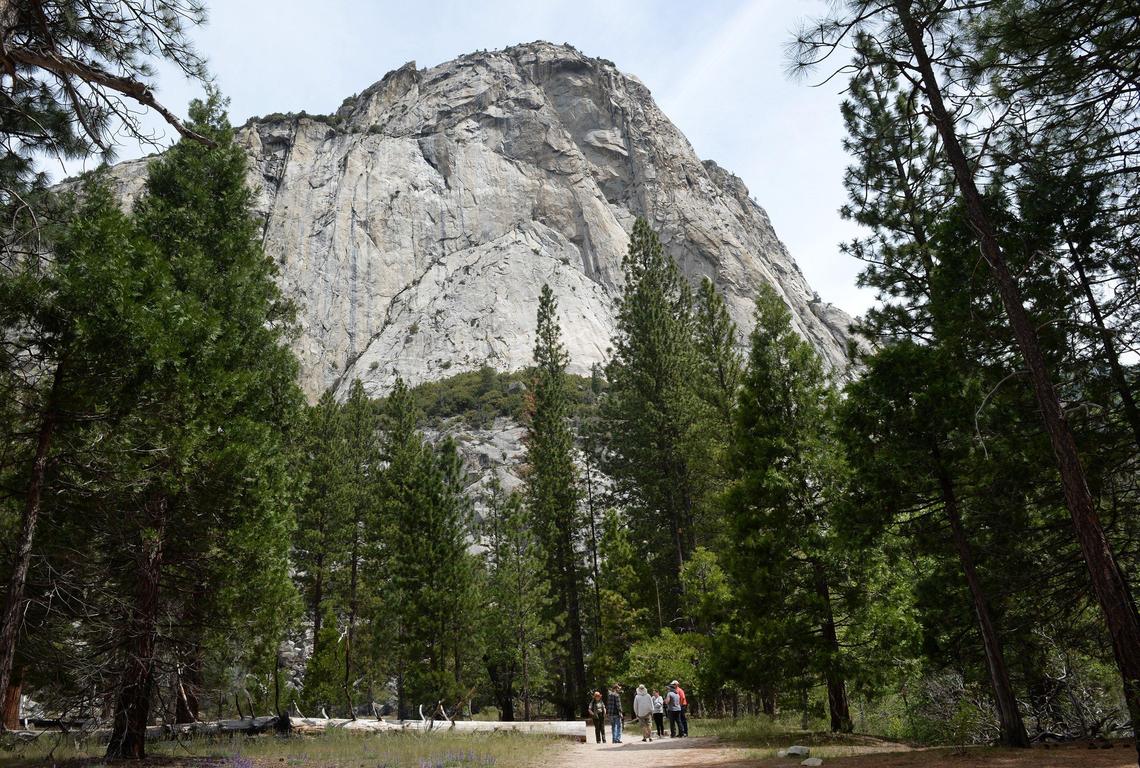Cliffs rise above the valley floor near the River Trail at Road’s End in Kings Canyon National Park’s Cedar Grove on Friday, June 7, 2019.