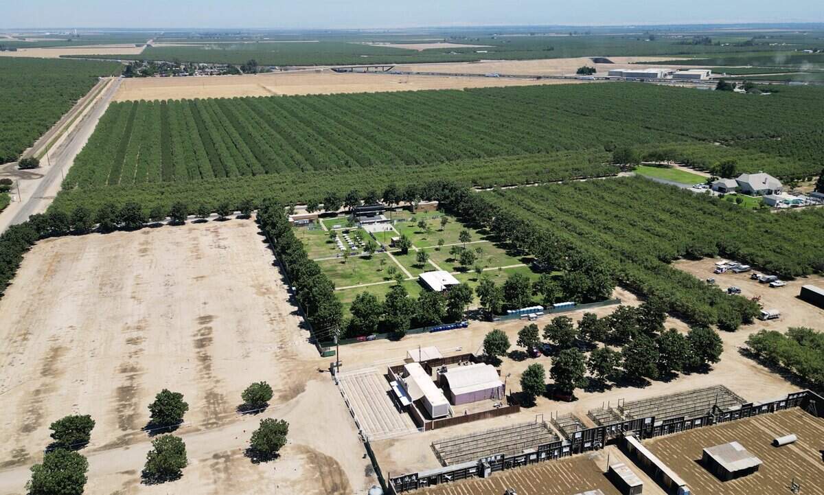 Darren Schmall’s ApCal Rock’N Ranch, the popular outdoor venue north of Fresno, photographed Friday, July 10, 2026 near Madera. Parking is seen at the bottom left along Road 32, surrounded by orchards and the main concert venue in the center.