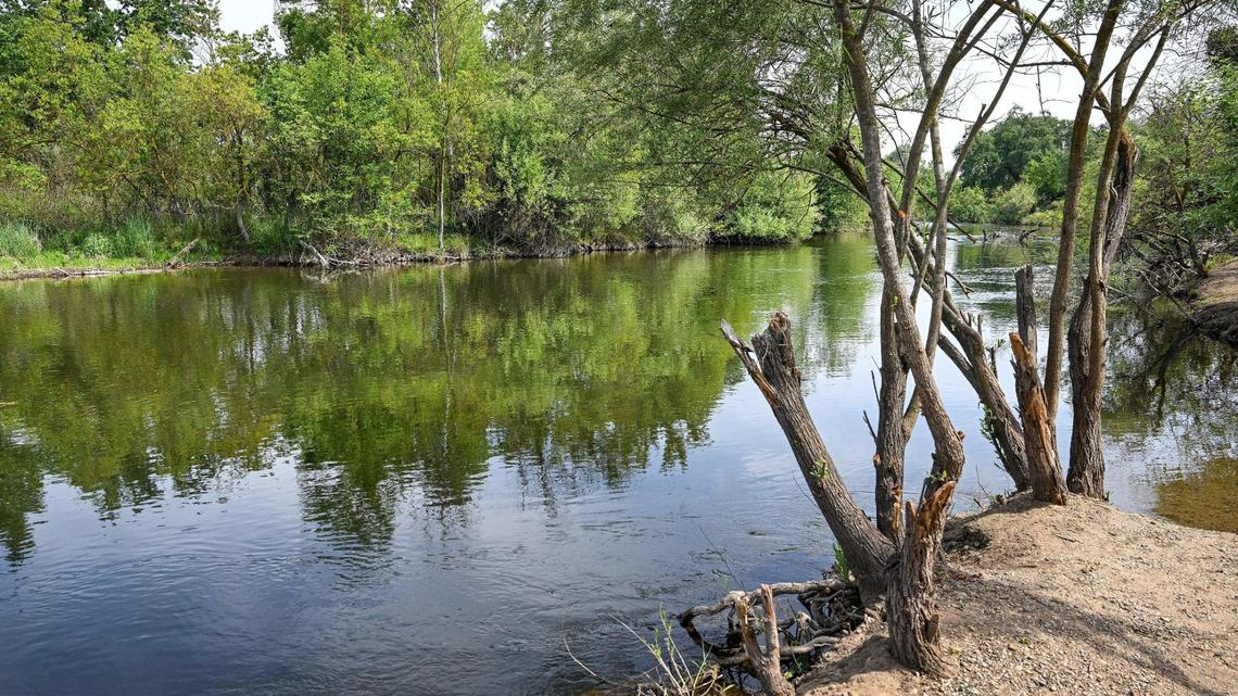 The San Joaquin River flows calmly along the banks of the Jensen River Ranch area that is part of the San Joaquin River Conservancy with its trail access points just to the north of Woodward Park in Fresno on Wednesday, April 20, 2025.