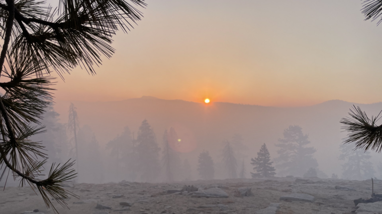 Dome Fire has burned in Yosemite National Park for two weeks. We now know the cause