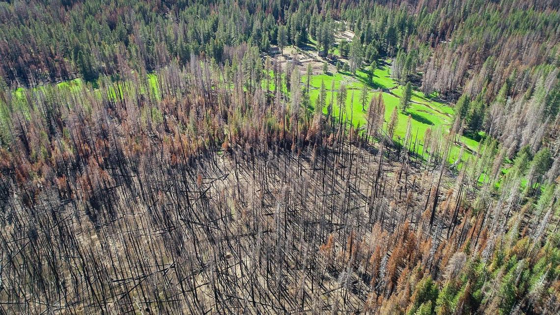 Blackened forest trees show how close the Creek Fire came to the Minarets Pack Station, top center, in the Sierra National Forest last year as seen in this drone image on Friday, June 11, 2021. Despite some damage from the fire and recent Mono wind events, the owners of the pack station are opening for business this summer.
