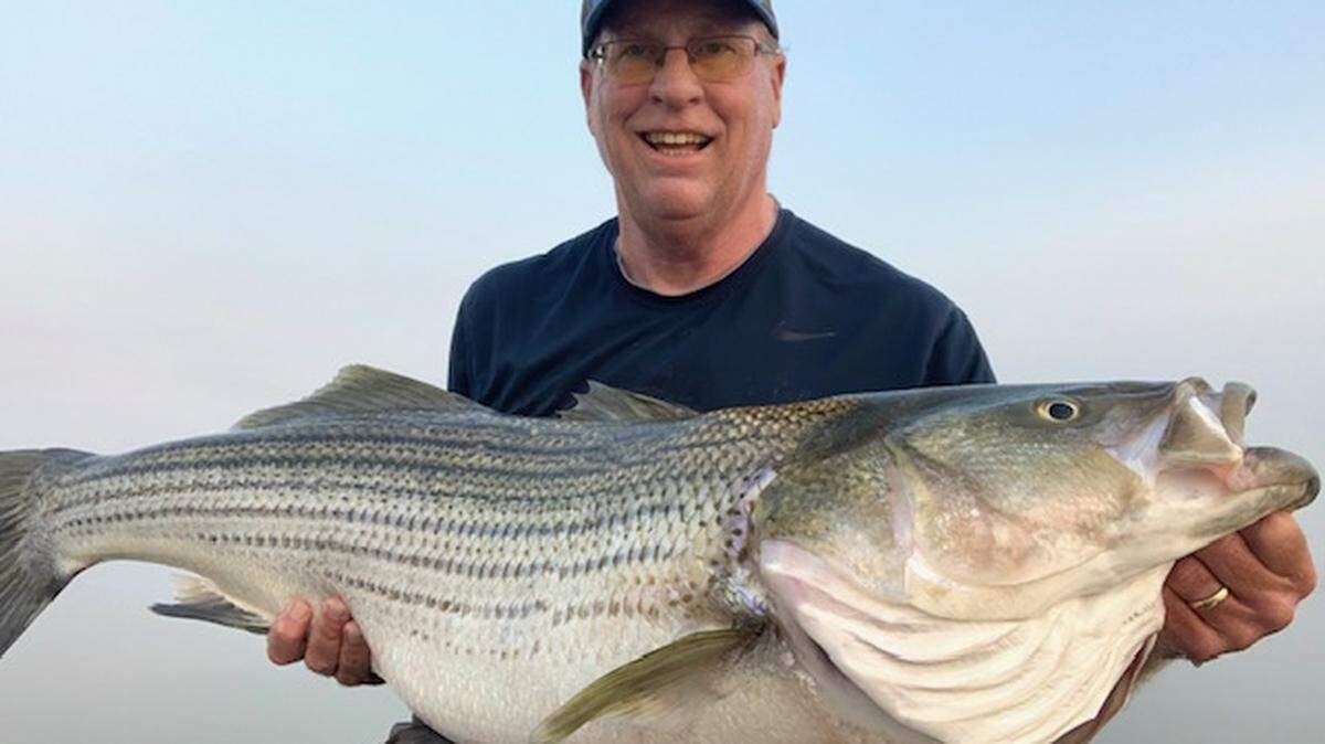Roger George shows off a striper caught at San Luis Resevoir that measured 41 pounds, 45 inches long with a 30-inch girth. George says, “I had guided two guys earlier for a good day, then they left. I decided to try a little longer. It was the ‘hit’ I’ve been looking for! ... Epic fight; I won! Landing it alone was interesting.” George says the next-biggest reported striper at San Luis this year is 36 pounds.