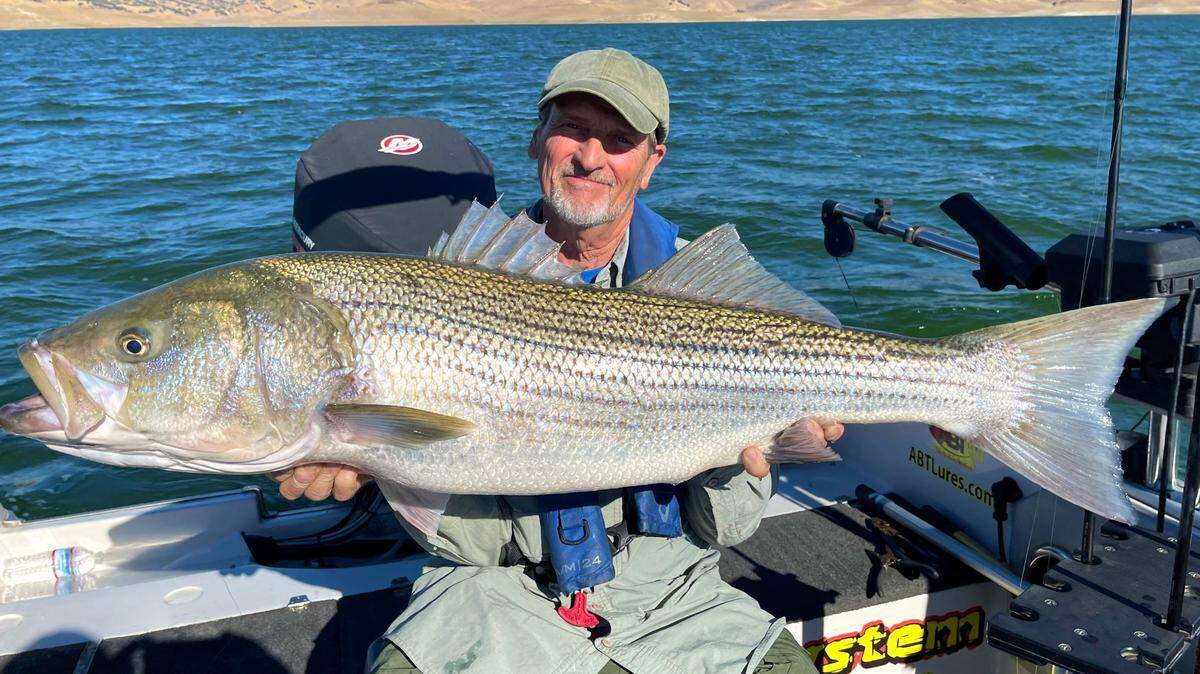 Sonny Johansen shows off his personal-best striper caught July 10 at San Luis Reservoir. Guide Roger George says the fish was spawned-out but still weighed 30.3 pounds. It measured 44 inches. It was released.