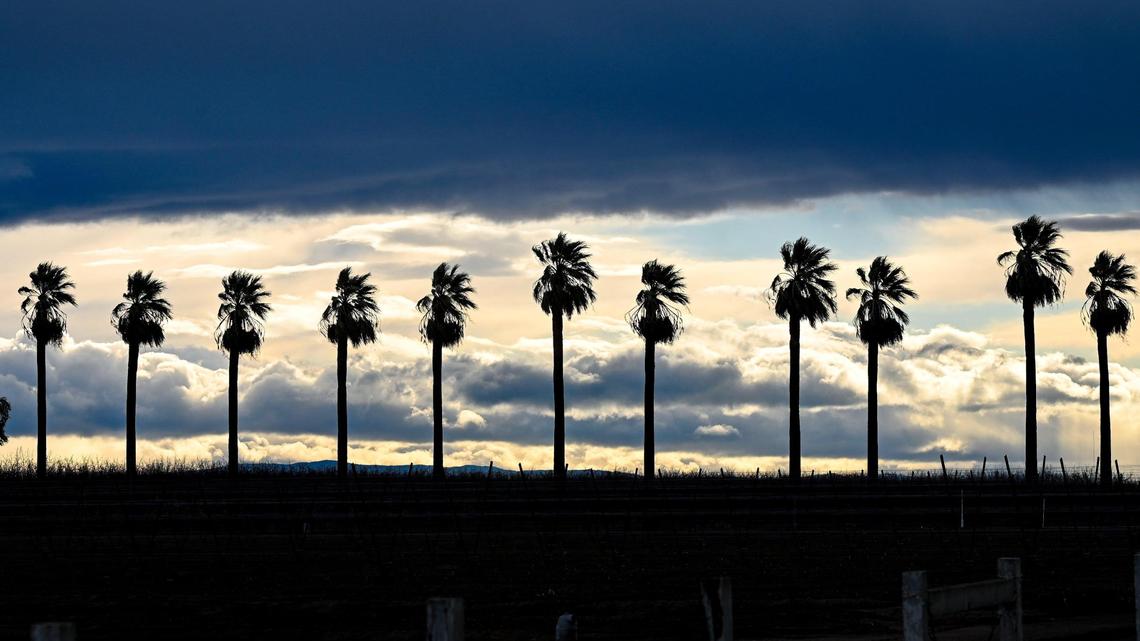 Clouds begin to clear west of the palm trees on Chateau Fresno at California Avenue west of Fresno following another deluge of rain from an atmospheric river on Tuesday, March 21, 2023.