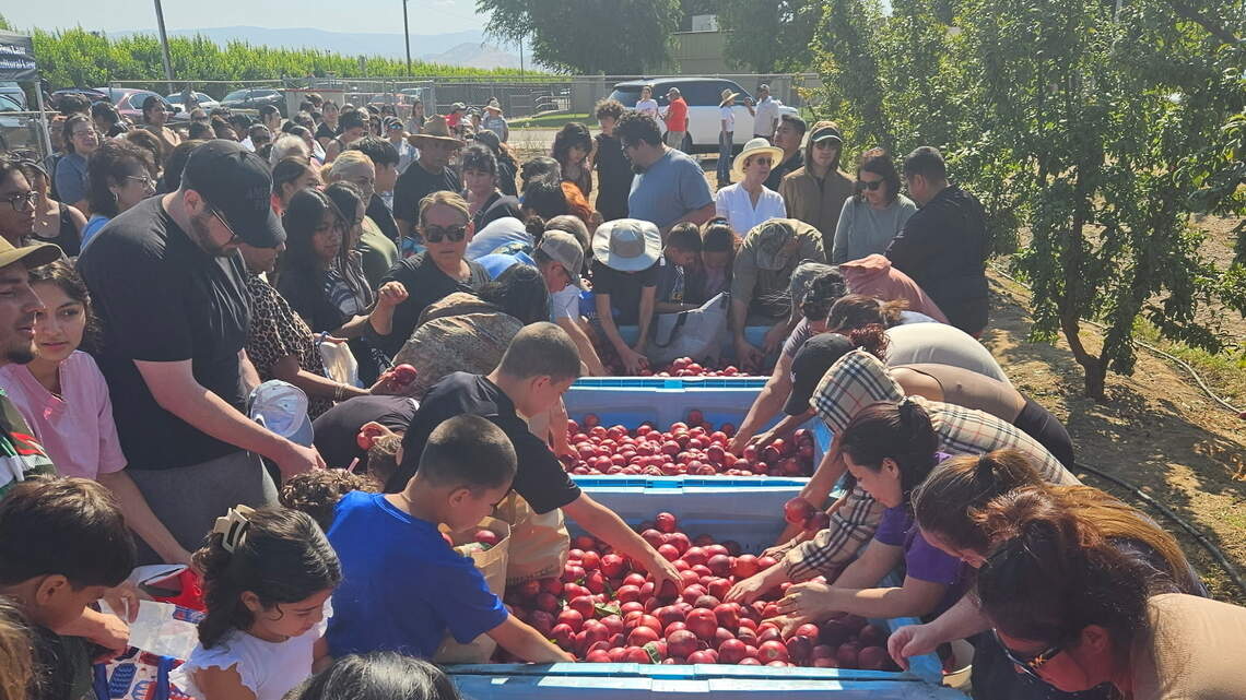 Fresno County farmer giving away his fruit amid legal dispute with produce company