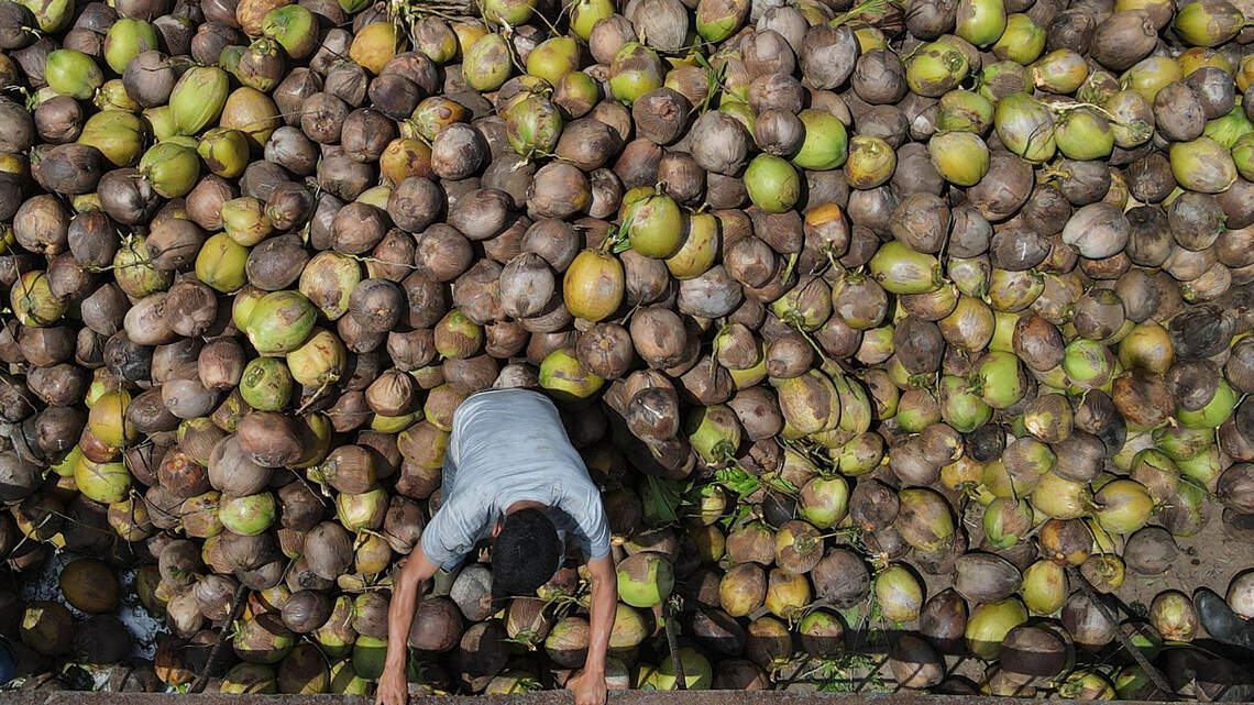 Espíritu Santo, la isla remota de El Salvador que se mantiene con fabricar aceite de coco