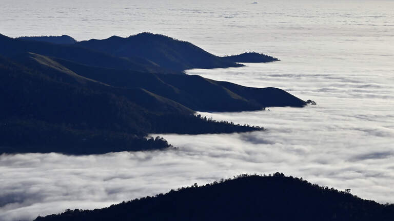 Yes, Central Valley weather is colder — and gloomier — than usual. Here’s why
