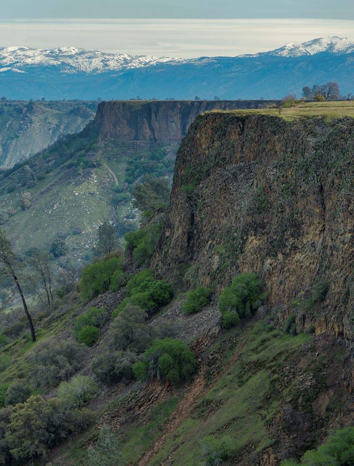 McKenzie Table Mountain Preserve