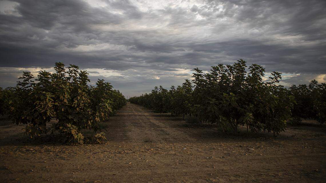 West Fresno County farmland parcels sell for $14.5M. See five sales below