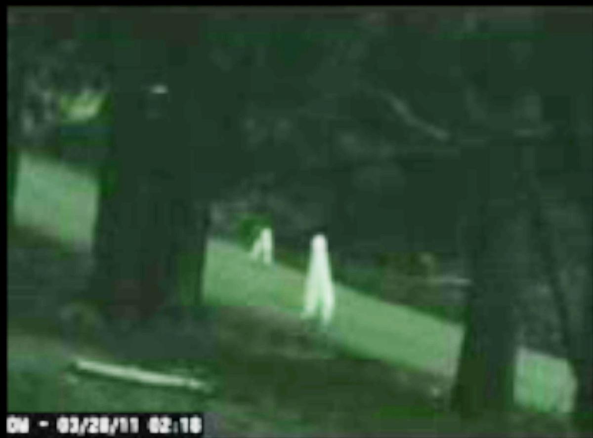 A screengrab from video reportedly showing two nightcrawlers shot years ago in Coarsegold’s Yosemite Lakes Park.