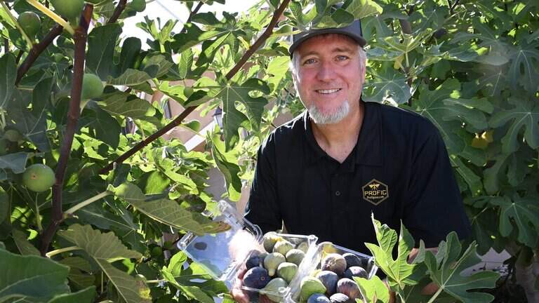 Fig fanatic brings exotic fruit flavors to customers. ‘Part of Fresno’s history’