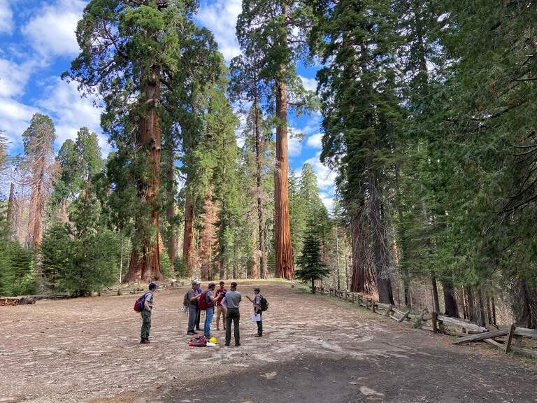Winter storm warning, flood watch at Yosemite, Sequoia parks | Fresno Bee