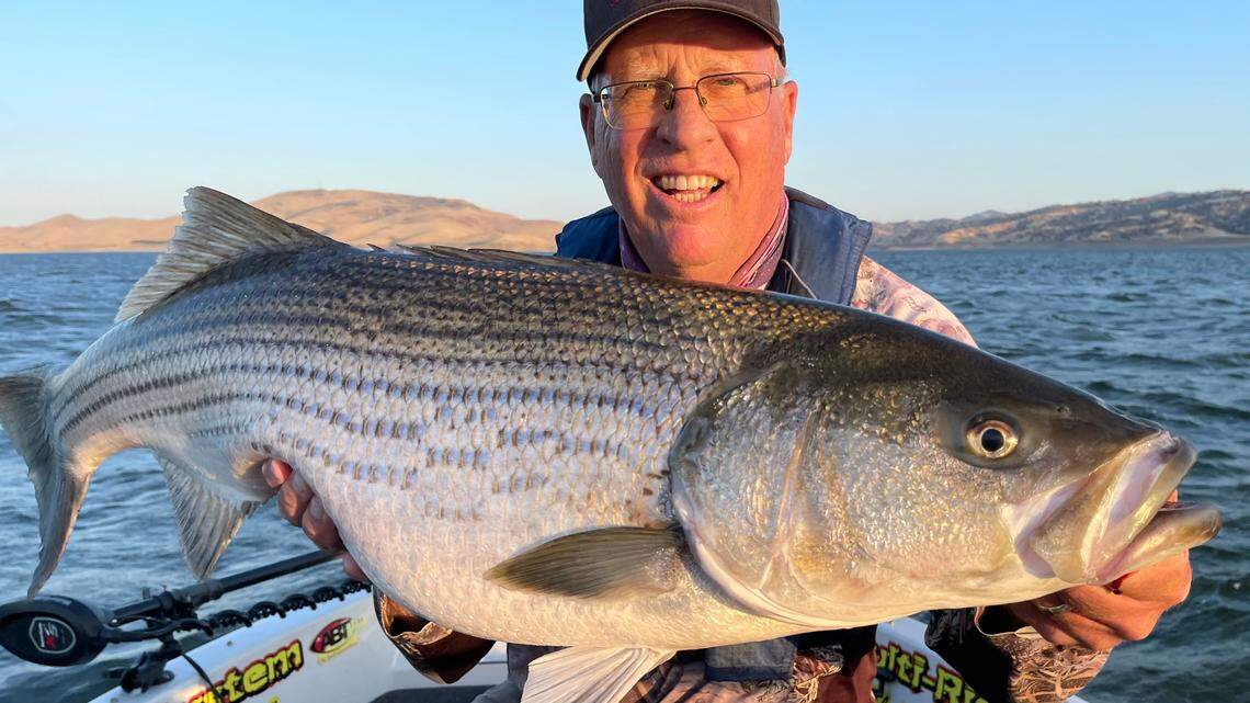 Roger George shows of his 42-inch, 28.2-lbs striper June 23 at San Luis Reservoir.