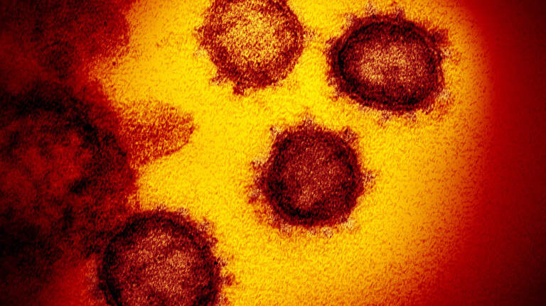 Is there a ‘stealth omicron’ coronavirus variant? Yes, and here’s what experts say