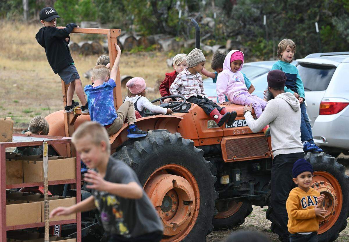 Children on a school tour play on a tractor at The Orchard at Meadow Lakes which offers you-pick apple orchards. Photographed Friday, Oct. 3, 2025 near Auberry.