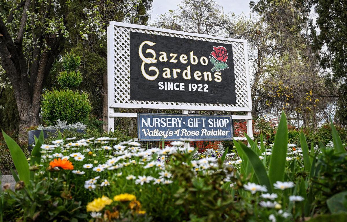 Gazebo Gardens, a Fresno fixture located in the center of town, opened in 1922 but was considered way on the northern outskirts at Shields and Van Ness before any the homes around it were ever built.