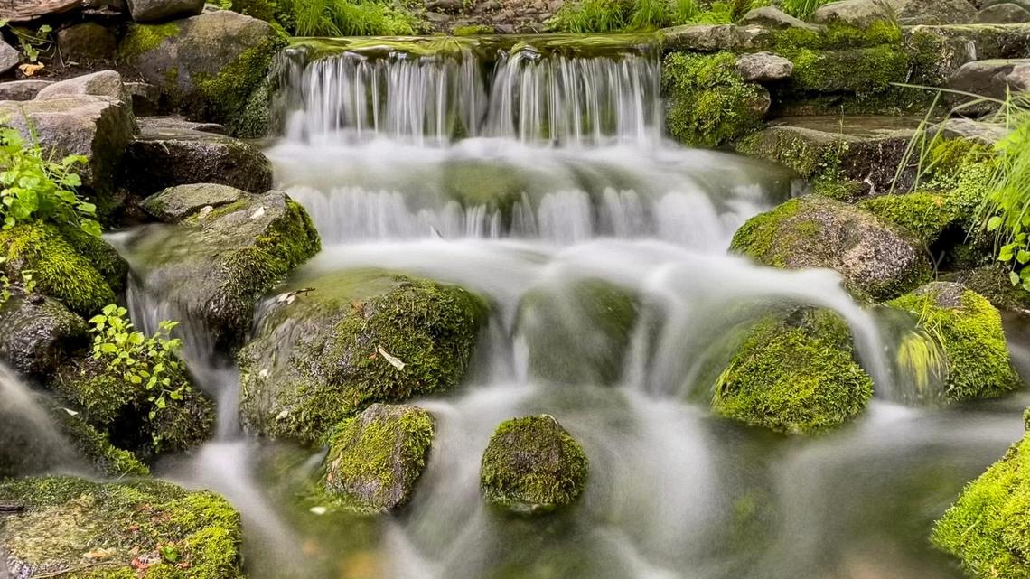 Water from Fern Spring calmly flows over small rocks in this long exposure photographed in Yosemite National Park on Tuesday, June 13, 2023.