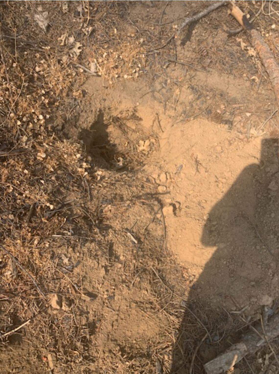 According to Jeff Young, a fourth-generation Fresno County resident whose property burned in the 2020 Creek Fire, U.S. Forest Service special agent Cooper Fouch took this photo of “a bucket depression” near the origin zone and texted it to him in January 2022. Young said he told Fouch where to look for evidence of an illegal marijuana garden in Big Creek Canyon.