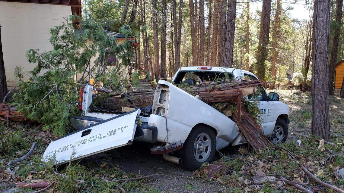 Yosemite National Park remains closed in wake of Mono winds. See photos, video of damage