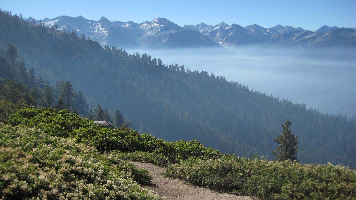 A thin layer of early morning mist hangs over the Middle Fork Kaweah River drainage, as seen from Panther Gap in Sequoia National Park in this file photo from 2010. Two hikers died recently in Sequoia National Park, the park service reported Tuesday, May 15, 2018. One near Pear Lake and the other on the Mountaineers Route at Mt. Whitney.