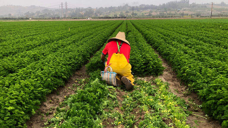 Caravan pressures Gavin Newsom to extend unemployment benefits to undocumented Californians