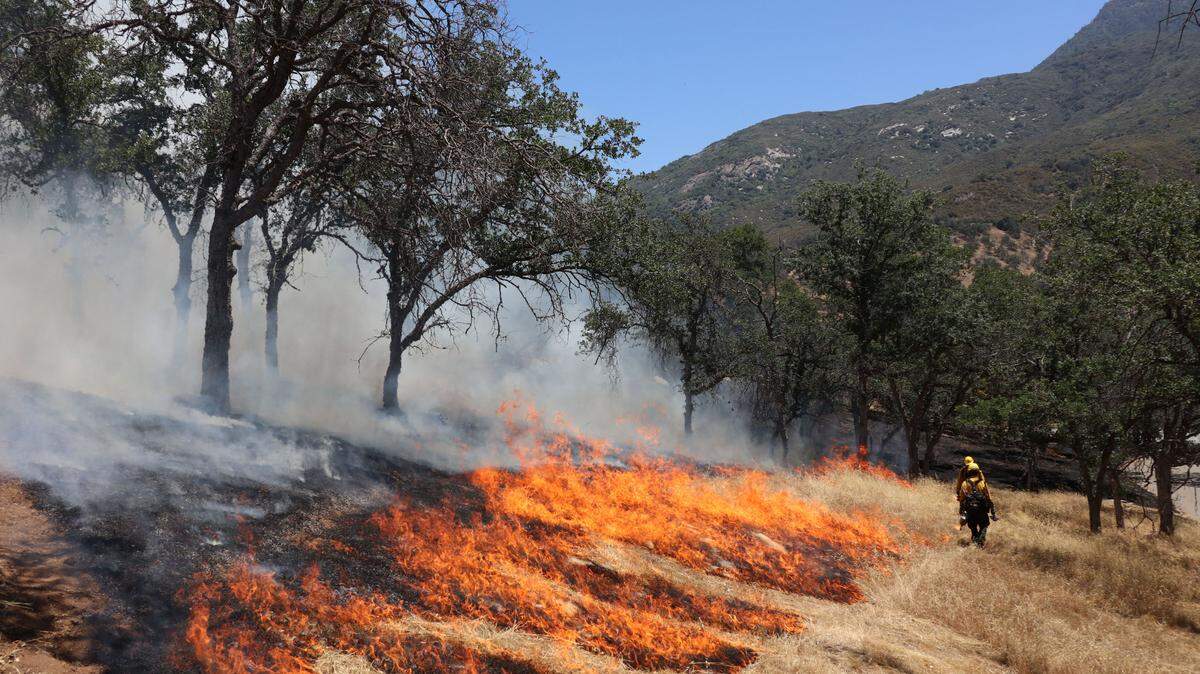 Sequoia National Forest firefighters conduct a prescribed burn to get rid of non-native grasses, which helps reduce the threat of wildfires.
