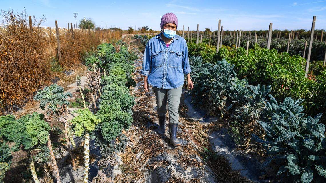 June Moua walks among the crops on her small farm west of Fowler. Small producers face challenges of having a stable water supply in this time of drought.