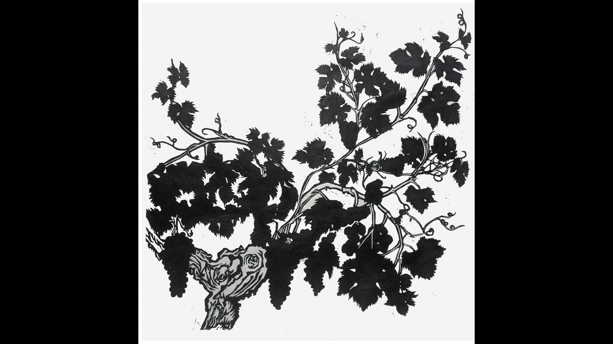 Grape vine block print for a new book by David Masumoto.