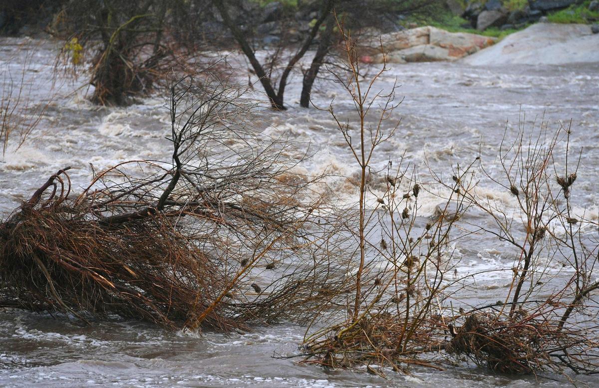 The muddy waters of the North Fork of the Kaweah River rush past Three Rivers Tuesday afternoon, March 14, 2023.