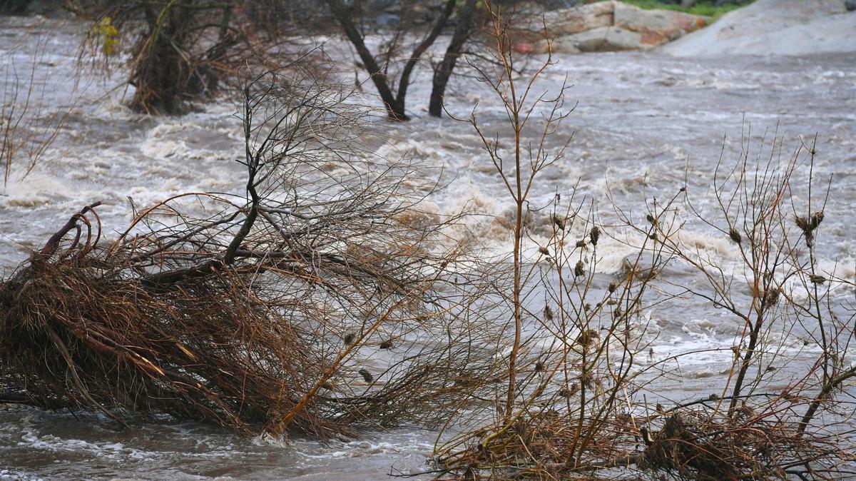 The muddy waters of the North Fork of the Kaweah River rush past Three Rivers Tuesday afternoon, March 14, 2023.
