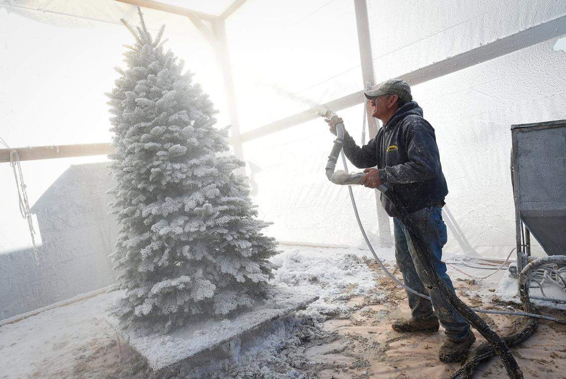Sid Boolootian, owner of Sid’s Christmas Trees, seemingly creates his own weather system of the snowy type, as he flocks a Christmas tree from Oregon on his lot, in Clovis, Thursday Dec. 2, 2020.