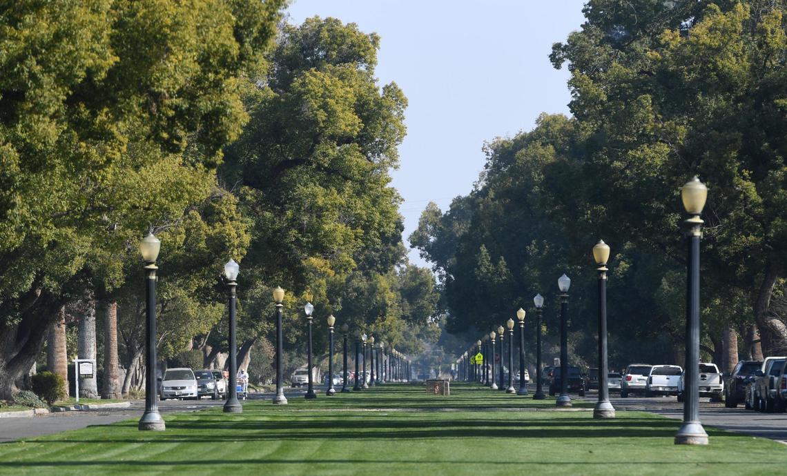 The tree and street light-lined Huntington Boulevard, where streetcars in the early days provided service for residents down the wide thoroughfare.