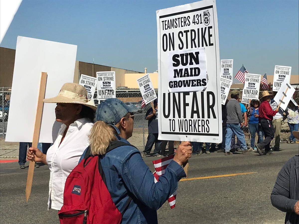 Workers strike outside the Sun-Maid plant in Kingsburg on Tuesday.