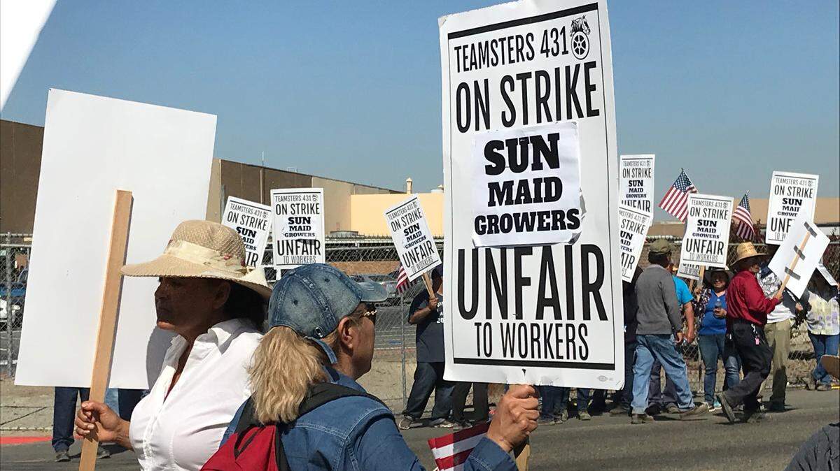 Workers strike outside the Sun-Maid plant in Kingsburg on Tuesday.