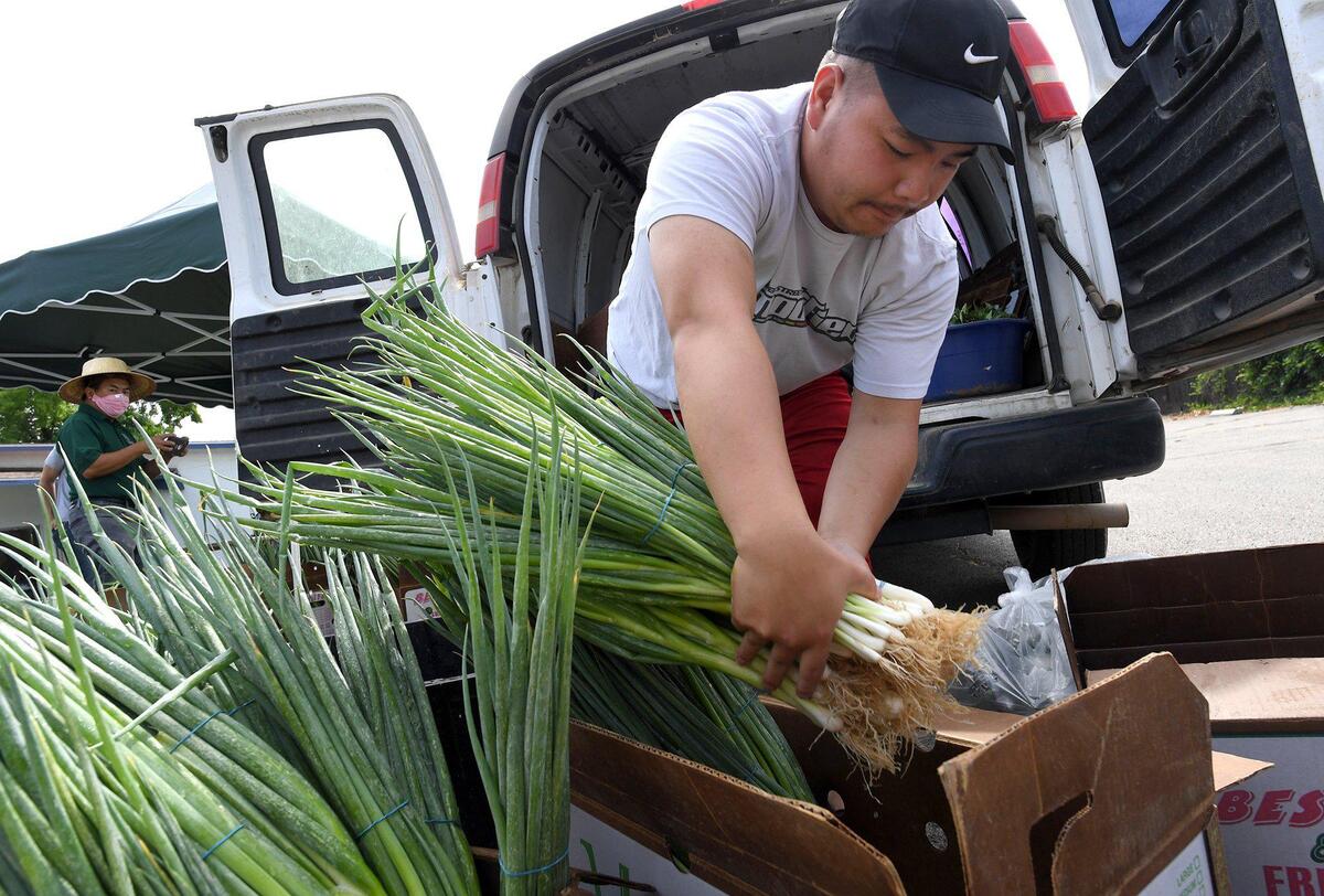 Gary Moua unloads green onions from his family’s farm during a food giveaway at Fresno Interdenominational Refugee Ministries.