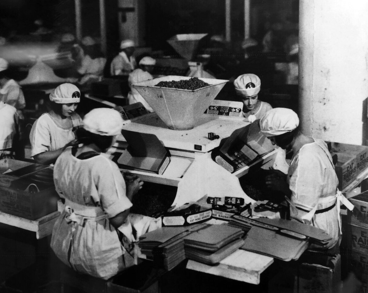 Workers box raisins at Sun-Maid in the early days.