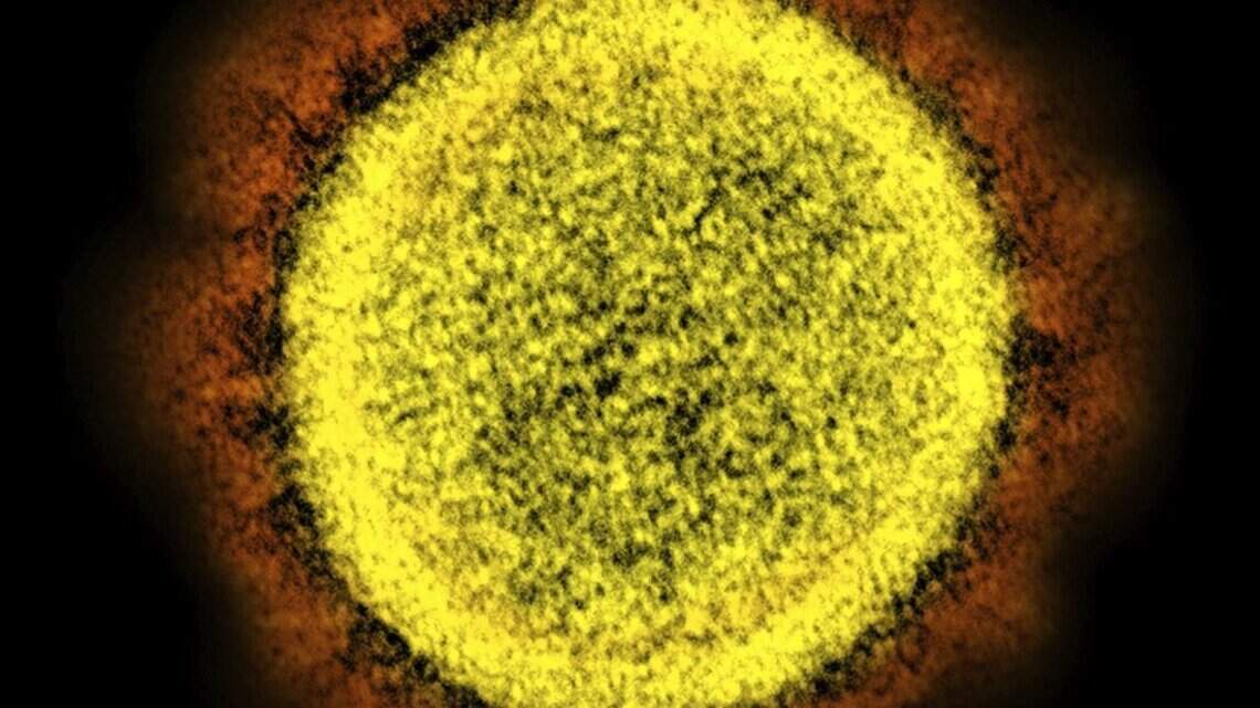 Is the faster spreading UK variant of COVID-19 in Idaho? We won’t know for 2 weeks