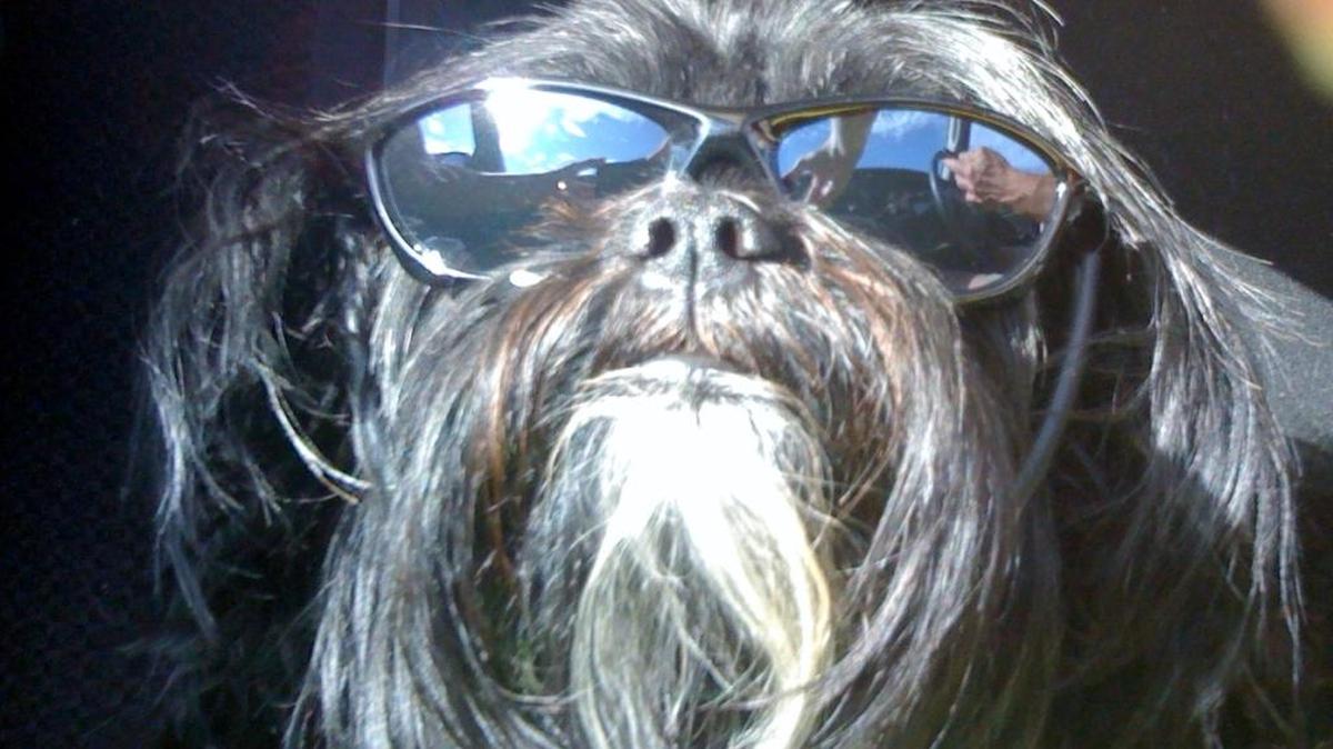 Maggie May loving her new sunglasses!!