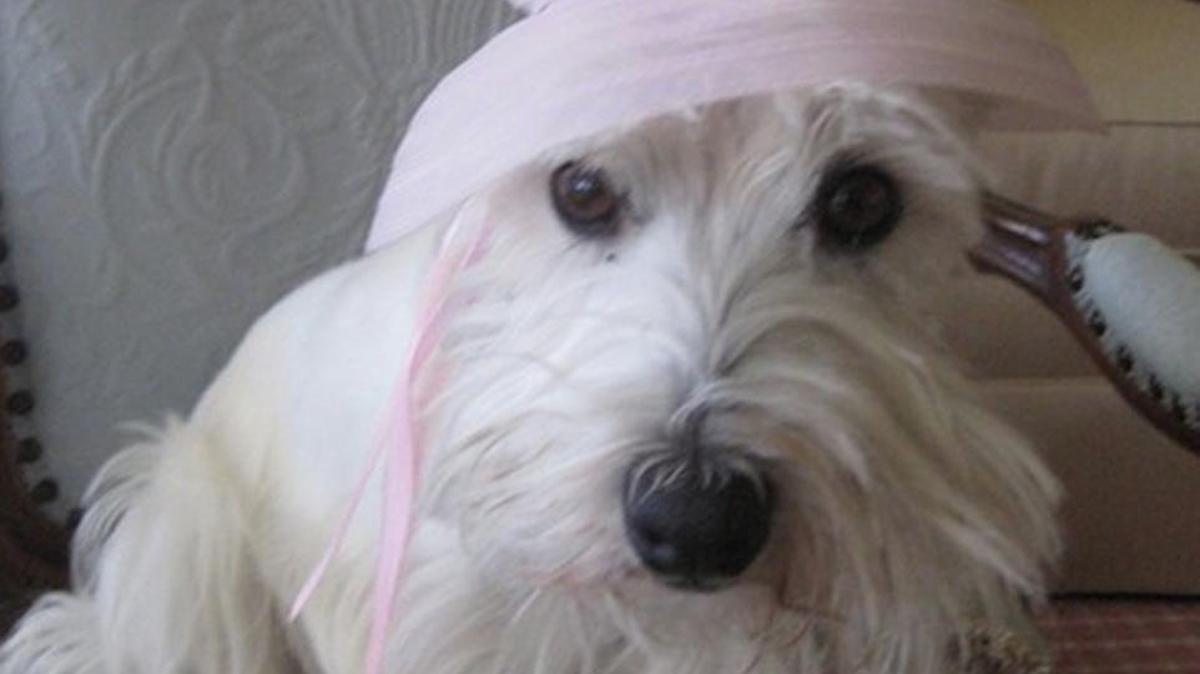 Katie wore her pink hat while watching the recent Kentucky Derby