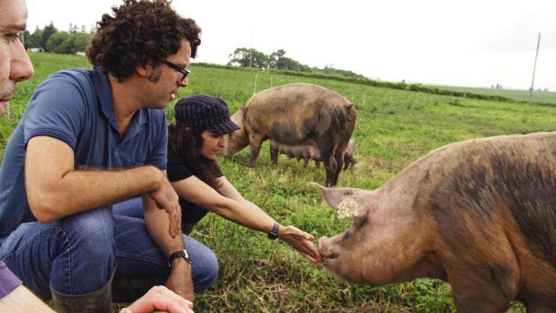 Filmmaker John Papola and his vegetarian wife Lisa take a look at how farm animals are raised for food in the documentary “At the Fork.”