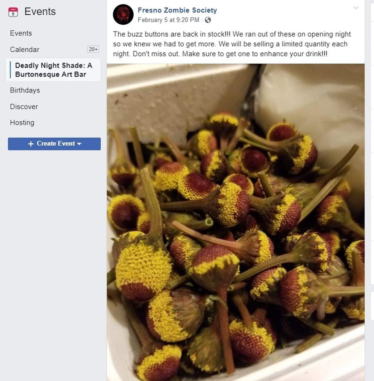 “Buzz buttons” are little flowers that create a tingling and numbing sensation when eaten. A temporary Tower District bar is putting them in cocktails this weekend.