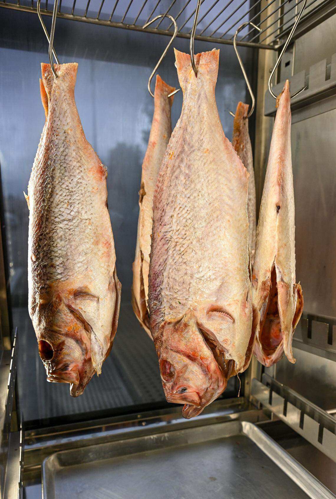 Dry-aged rockfish hangs in a cabinet at Bulle, a new high-end restaurant offering a variety of meats and seasonal vegetables among its rotating menus.